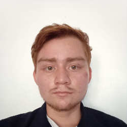 Perfil